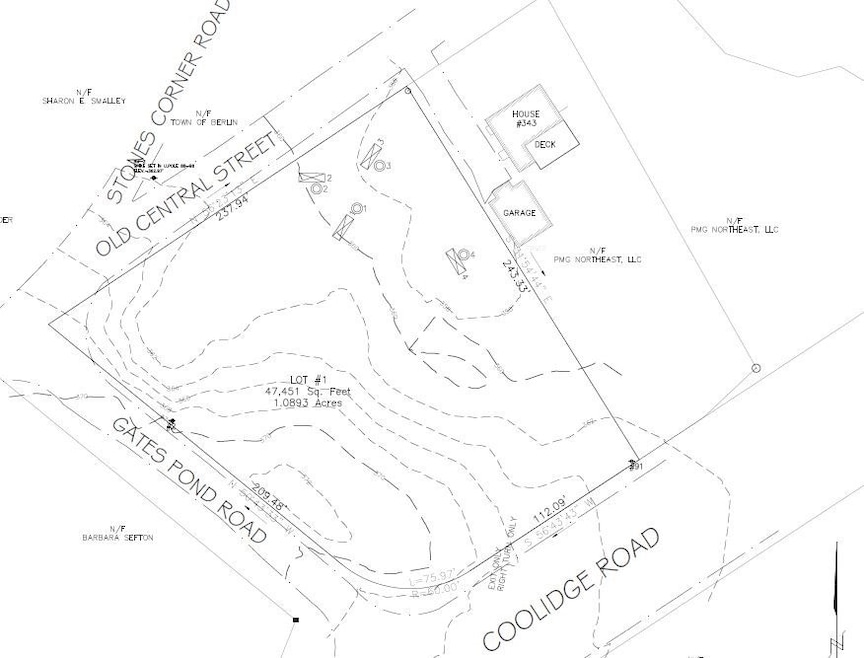 339 Old Central St, Berlin, MA 01503 - photo 1