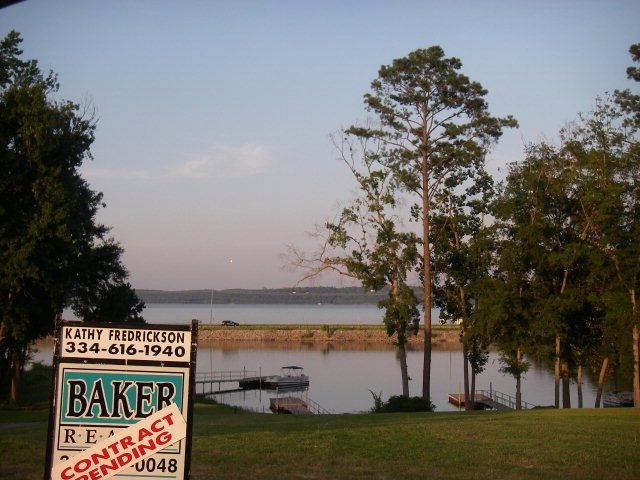 Main View