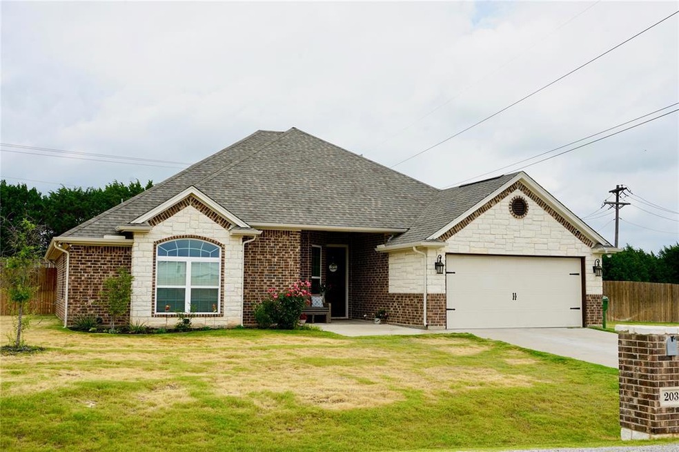 203 Meandering Ct, Granbury, TX 76049 - photo 1