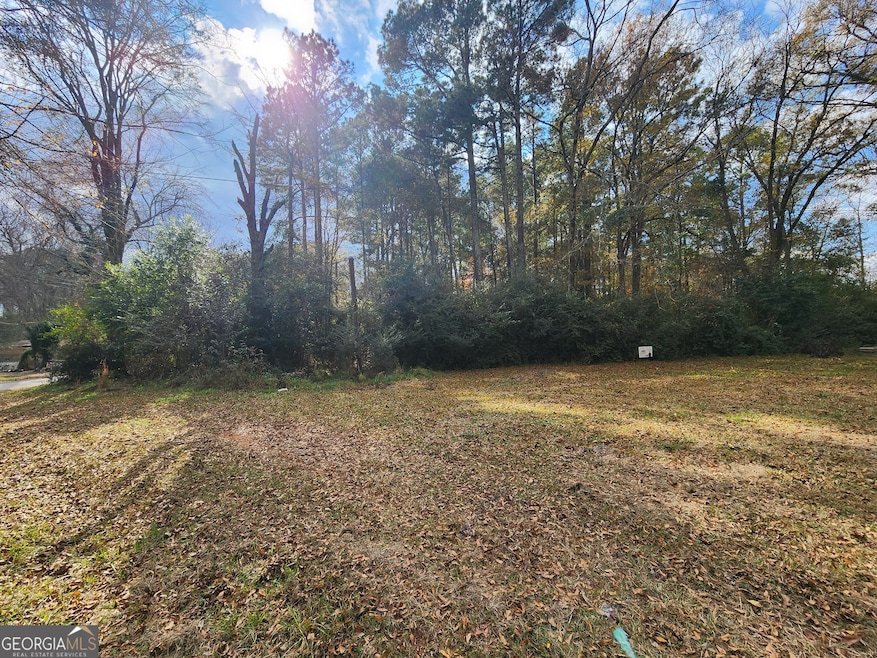 520 Jackson St, Washington, GA 30673 - photo 1