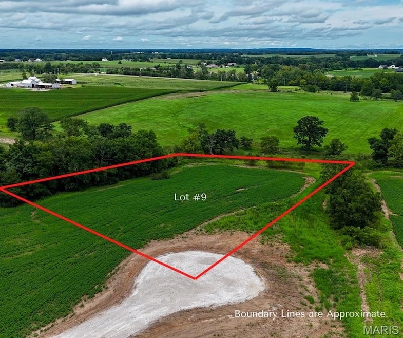 251 Autumn Hallow Ct, Old Monroe, MO 63369 - photo 1