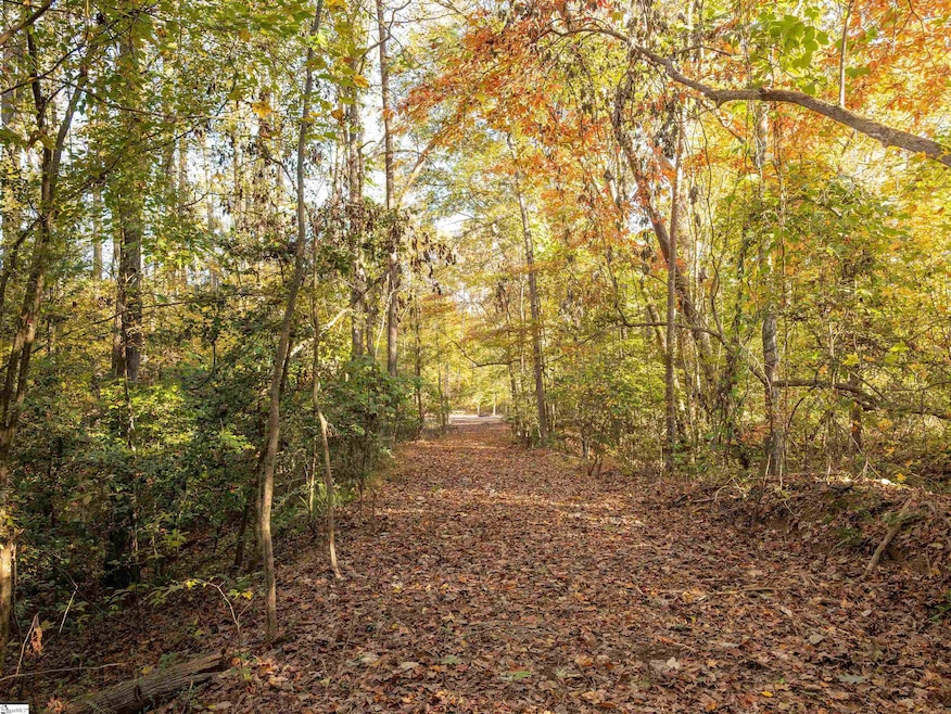 00 Dice Miller Rd, Moore, SC 29369 - photo 1