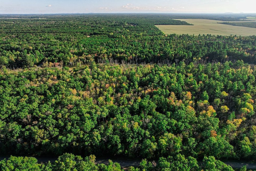 Bader Dr, Hancock, WI 54943 - photo 1