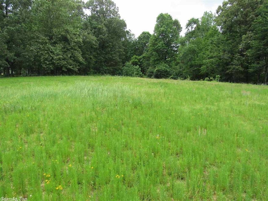 7 Acres County Road 304, Jonesboro, AR 72401 - photo 1