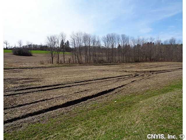 Land/Lot. This 44.5 acre property has been farmed 