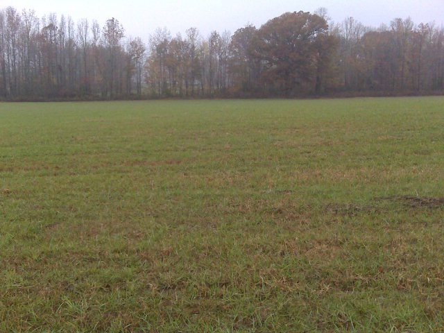 2.29 AC Plantation View, Cookeville, TN 38506 - photo 1