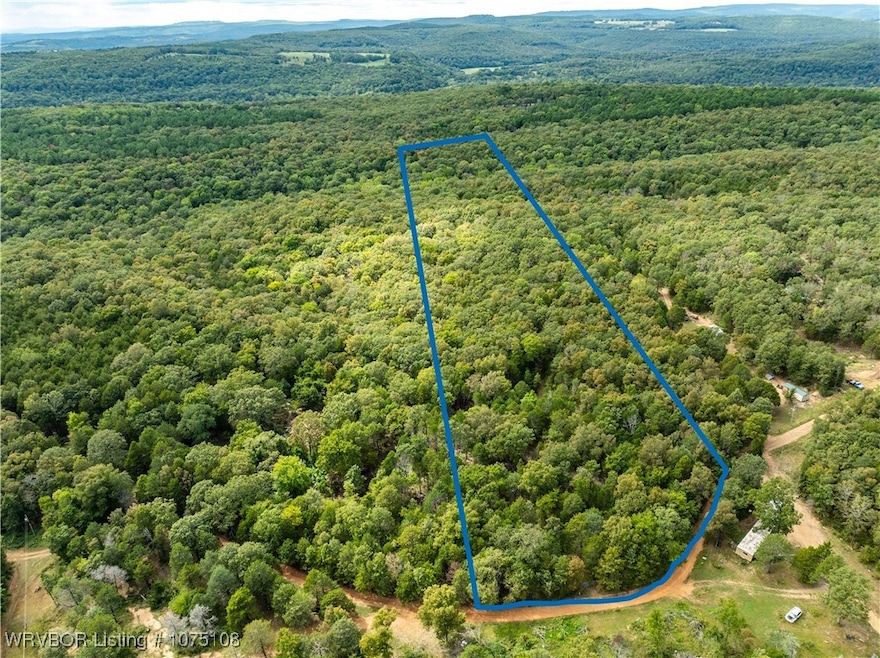 TBD Dry Hill Loop, Chester, AR 72934 - photo 1