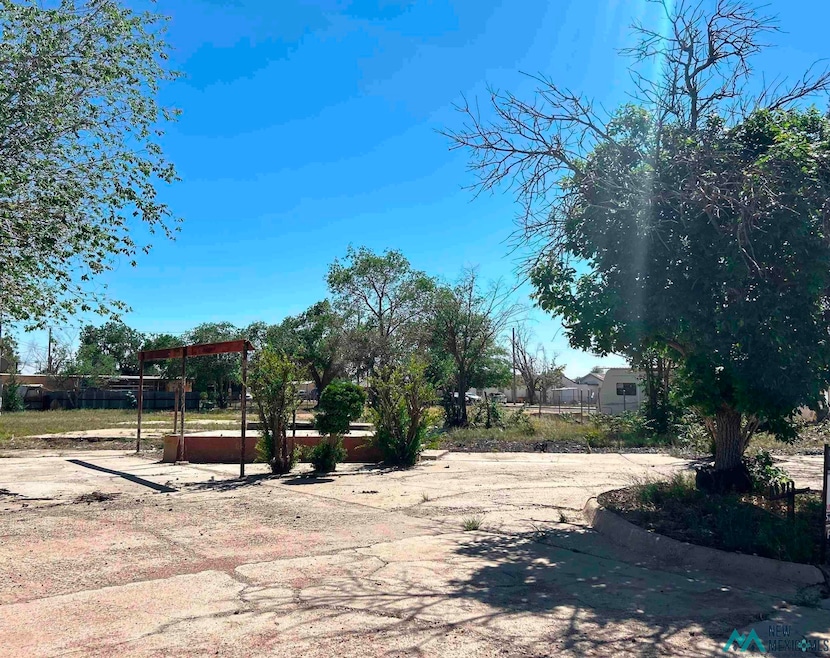 1411 E Dunnam St, Hobbs, NM 88240 - photo 1