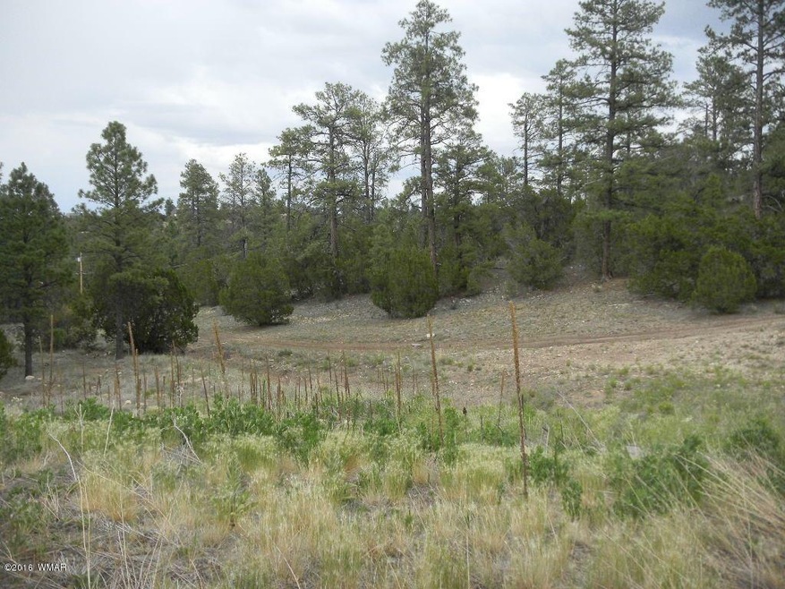 3349 Sawmill Ridge Loop - Photo1