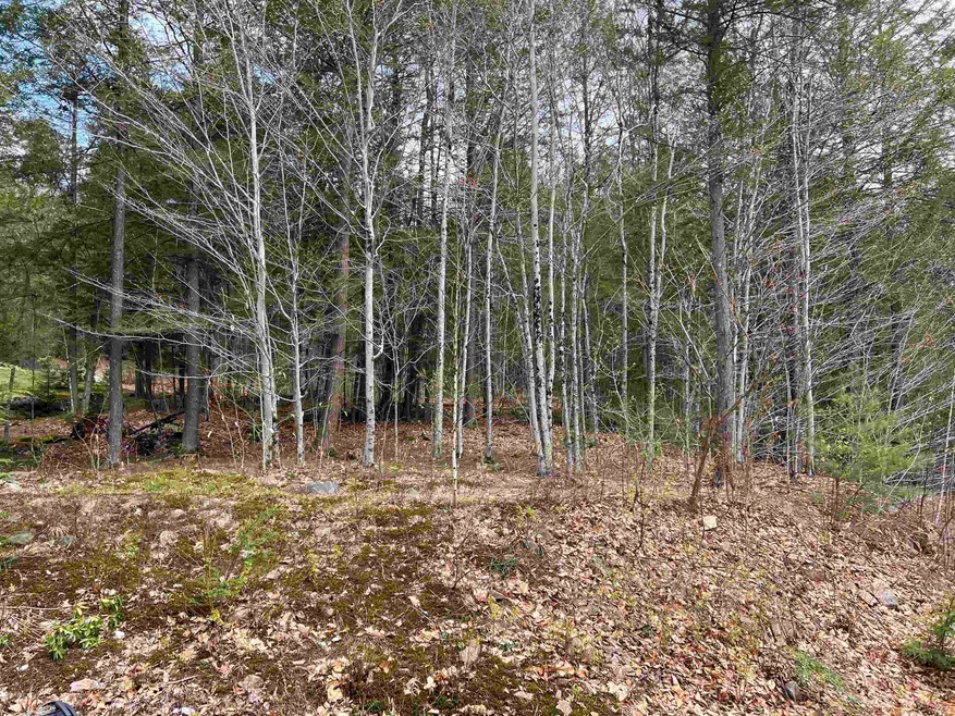 000 Grady Ln unit Lot 7, Hinsdale, NH 03451 - photo 1