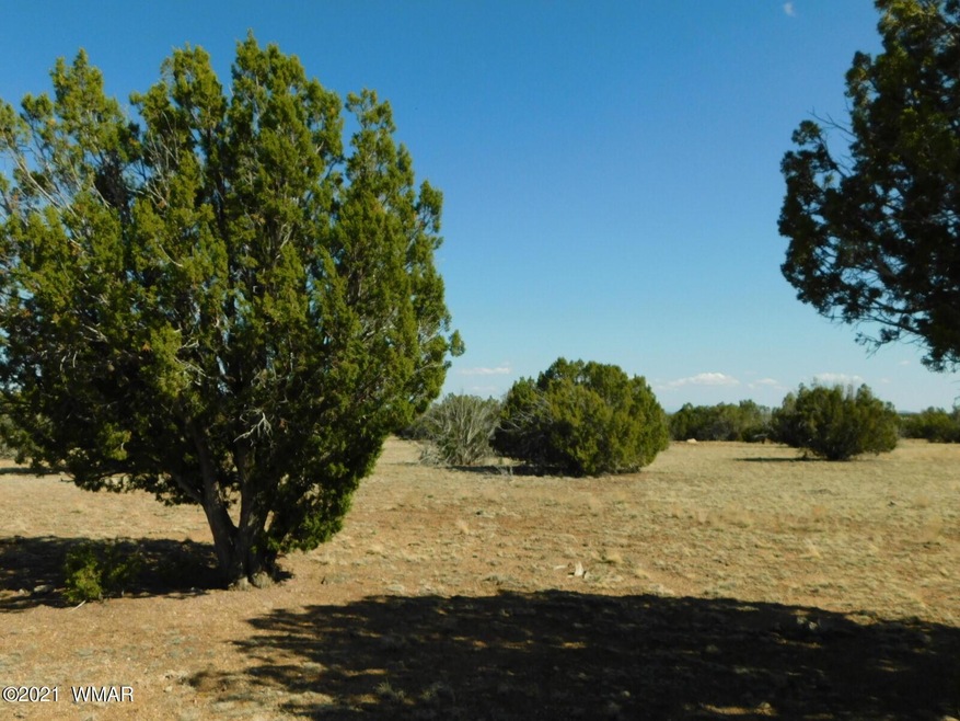 Navajo Co Parcel No. 304-31-095 Sequoia