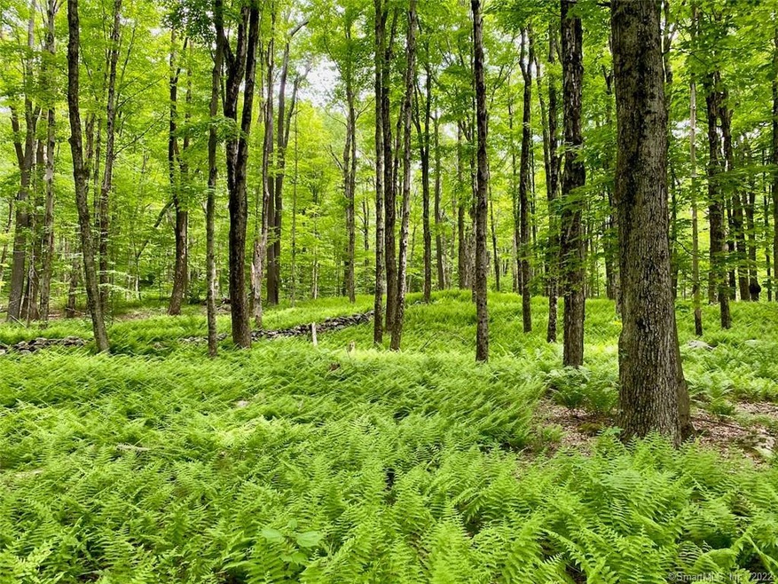 00 Day Rd, Cornwall, CT 06754 - photo 1