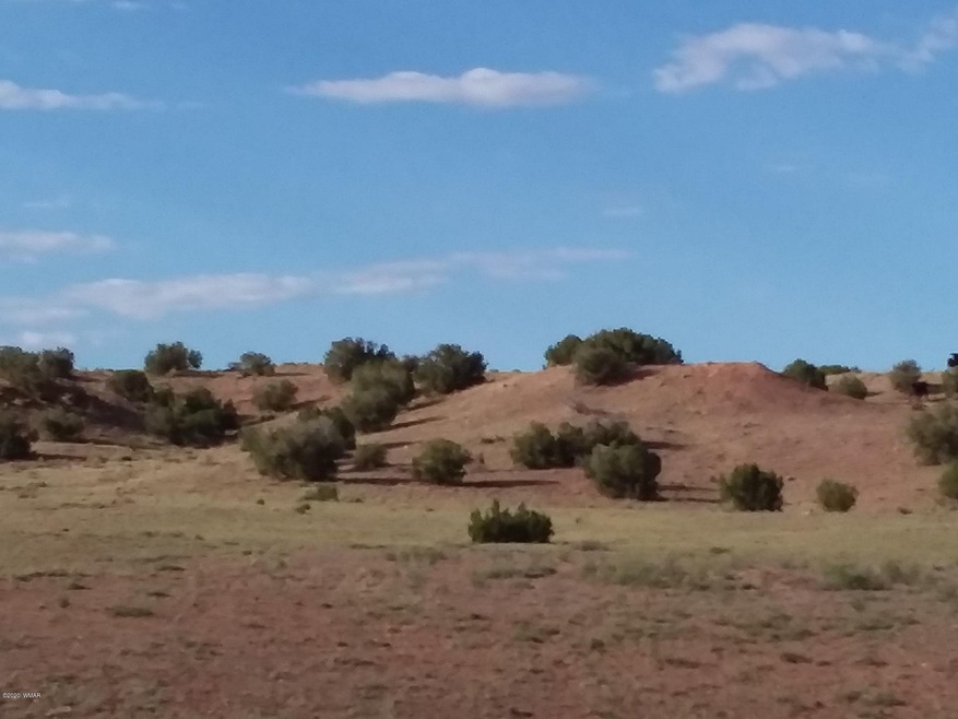 view of lot 1