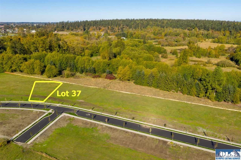 411 Broadmoor St, Sequim, WA 98382 - photo 1