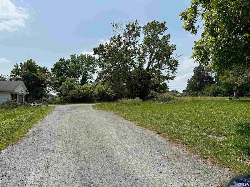 301 N Chestnut St, Christopher, IL 62822 - photo 1