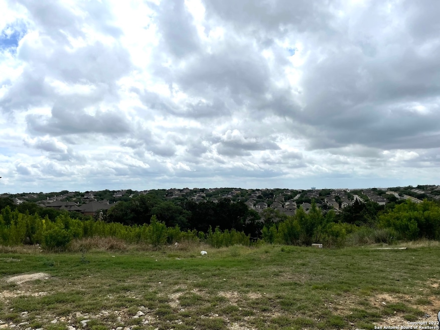 25914 Big Cypress, San Antonio, TX 78261 - photo 1