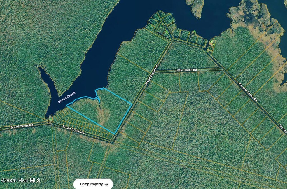 Satellite Photo
