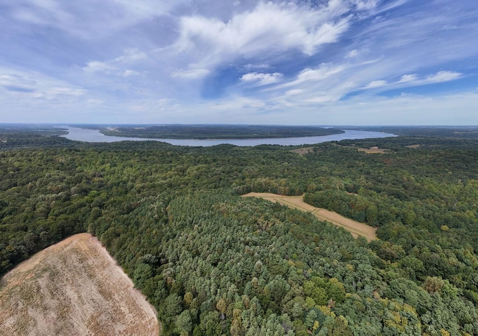 0 Bells Mines School Rd, Sturgis, KY 42459 - photo 1