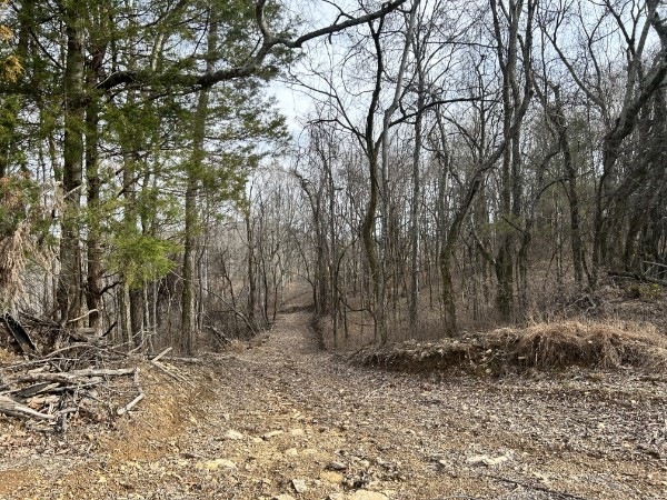 0 Greenfield Rd, Prospect, TN 38477 - photo 1