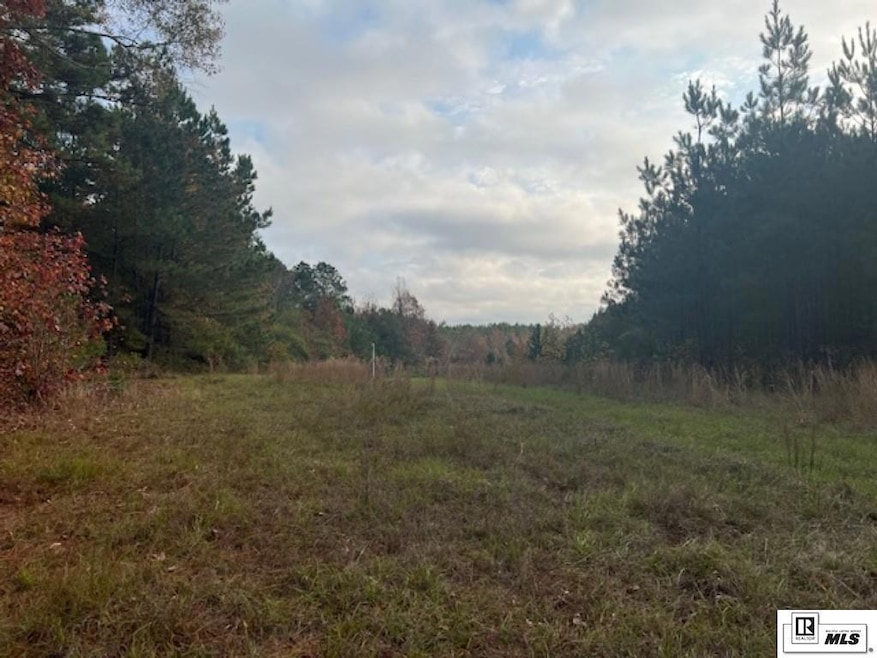 0 Highway 152 unit 217220, Dubach, LA 71235 - photo 1