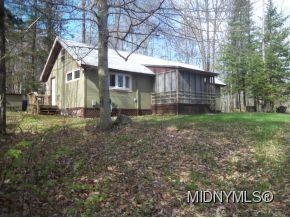 Adirondack Cottage