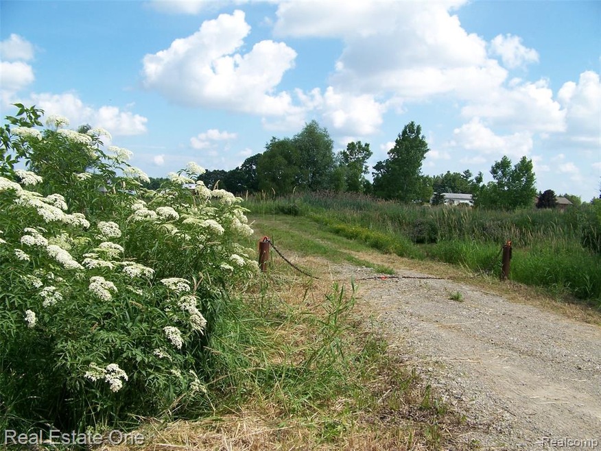DRIVE INTO PROPERTY-CENTER OF LOT ALONG MERWIN