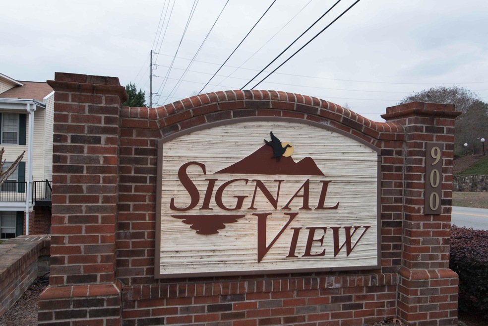 Signal View1