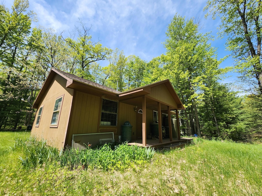 Parcel S McCollum Lk Rd, Curran, MI 48728 - photo 1