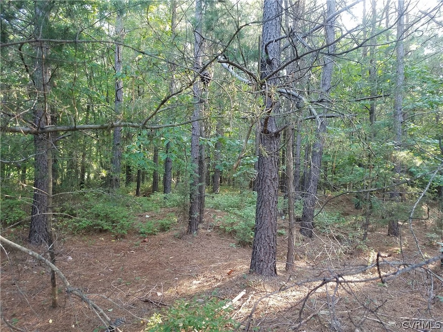 1600 Chopping Rd, Mineral, VA 23117 - photo 1