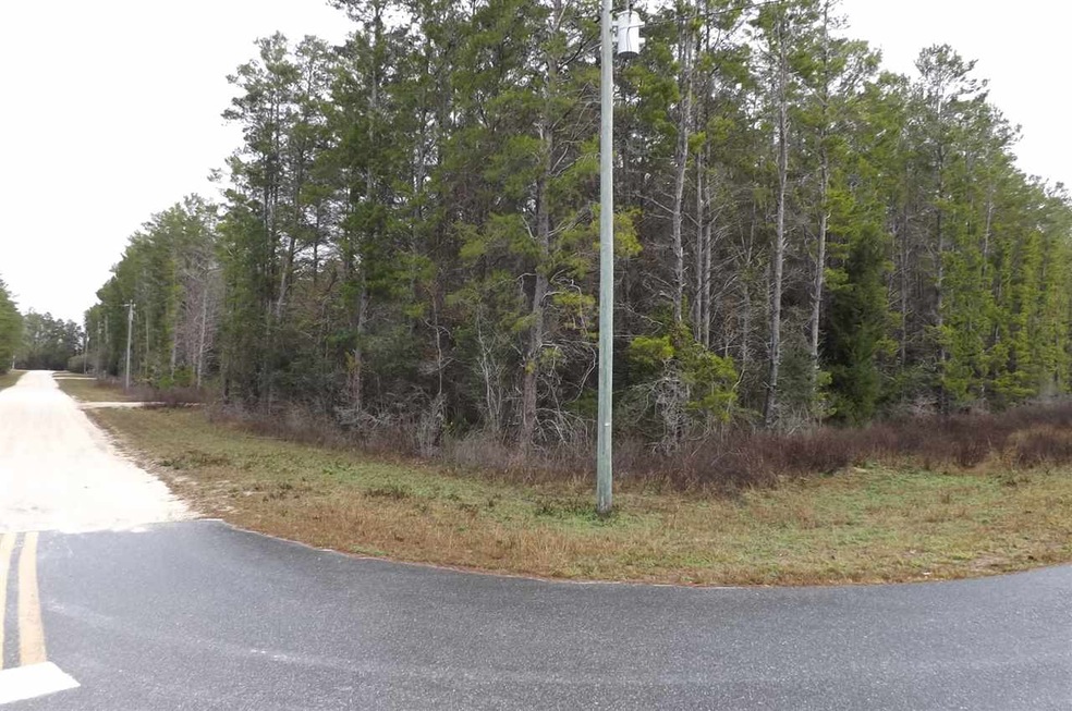 0 Seameadows Dr unit 314858, Perry, FL 32348 - photo 1