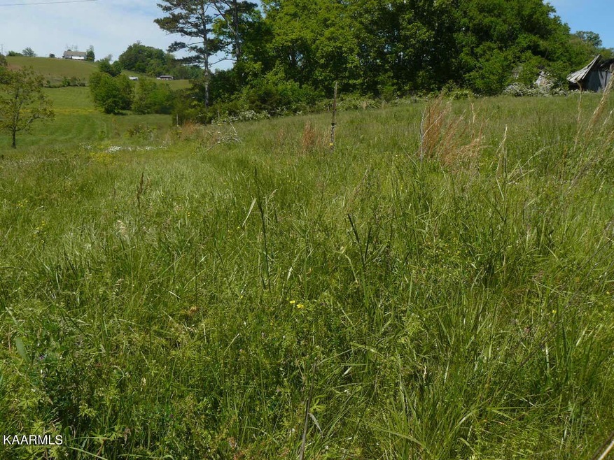 302 Howell River Rd, Rutledge, TN 37861 - photo 1