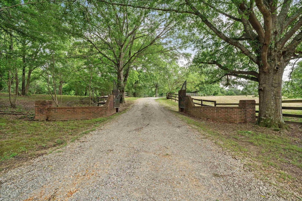 View of dirt / gravel driveway