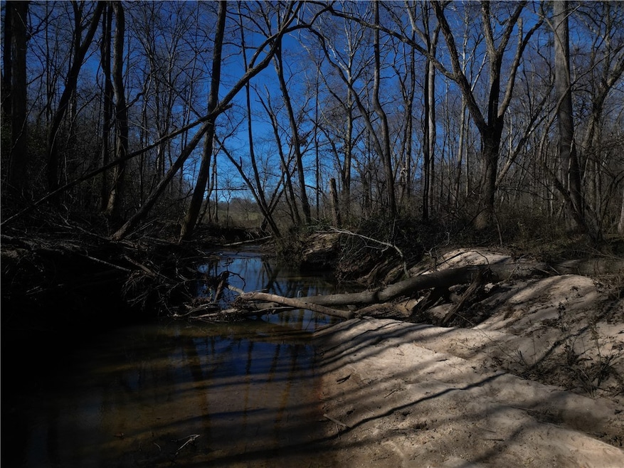 281 Grindstone Creek Dr, Clarkesville, SC 30523 - photo 1