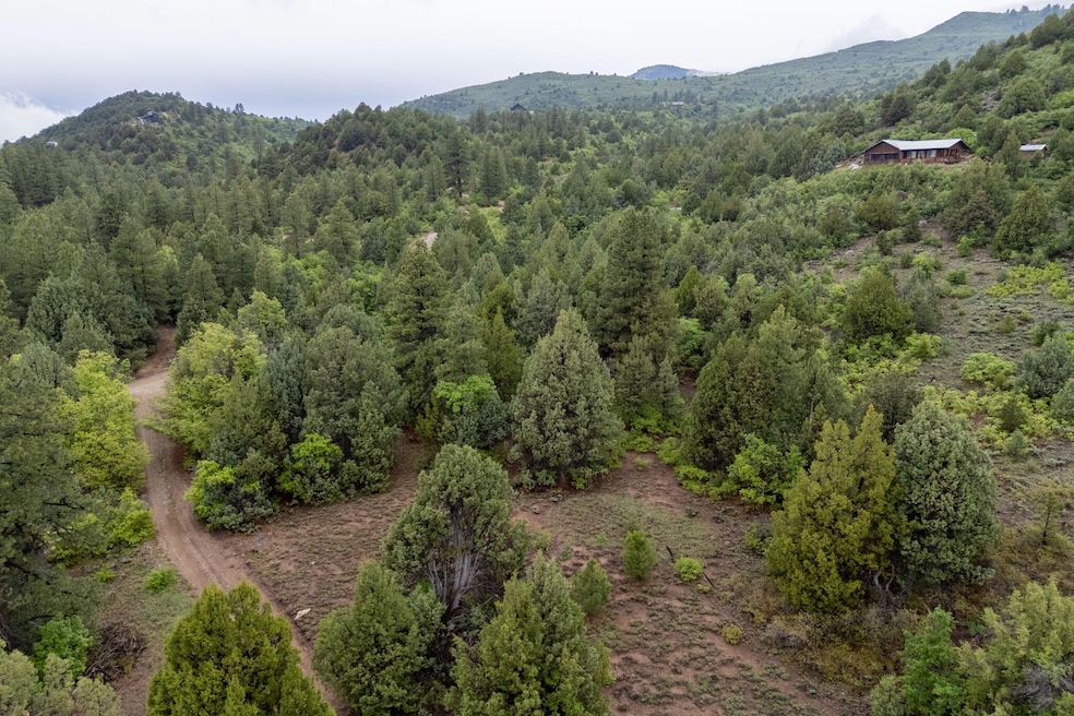 1-web-or-mls-Oak Tree Lot - www.aspencre