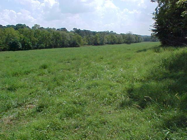 bottom land