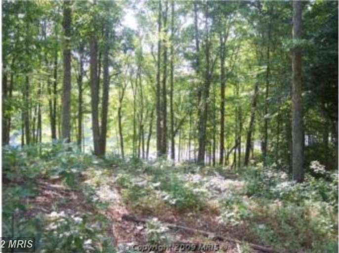 6801 Lawyers Rd, Spotsylvania, VA 22551 - photo 1