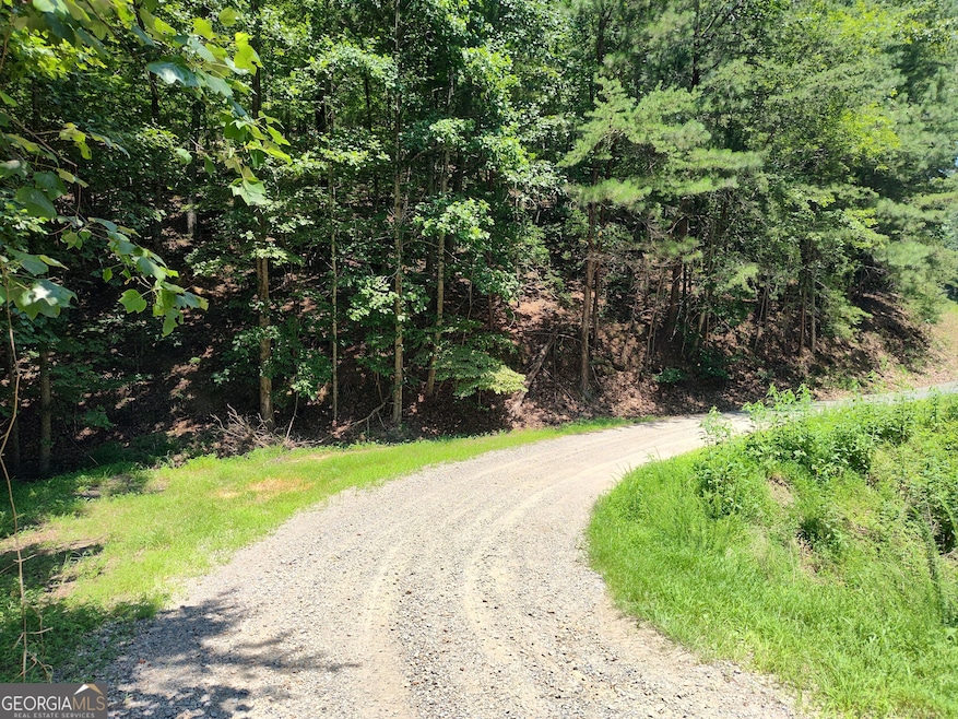 560 Neptune Cir, Ranger, GA 30734 - photo 1