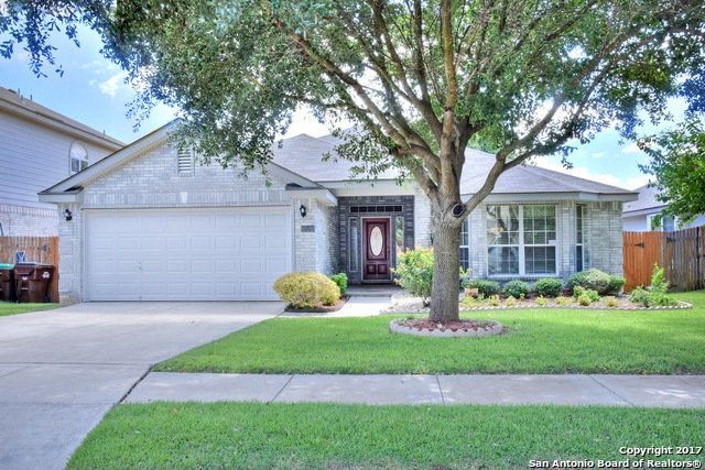 10510 Fairlong Trail, San Antonio, TX 78254 - photo 1