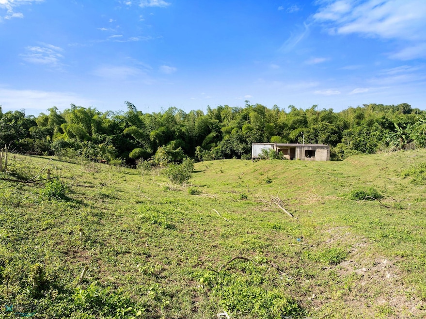 0 Carr 100, Cabo Rojo, PR 00623 - photo 1