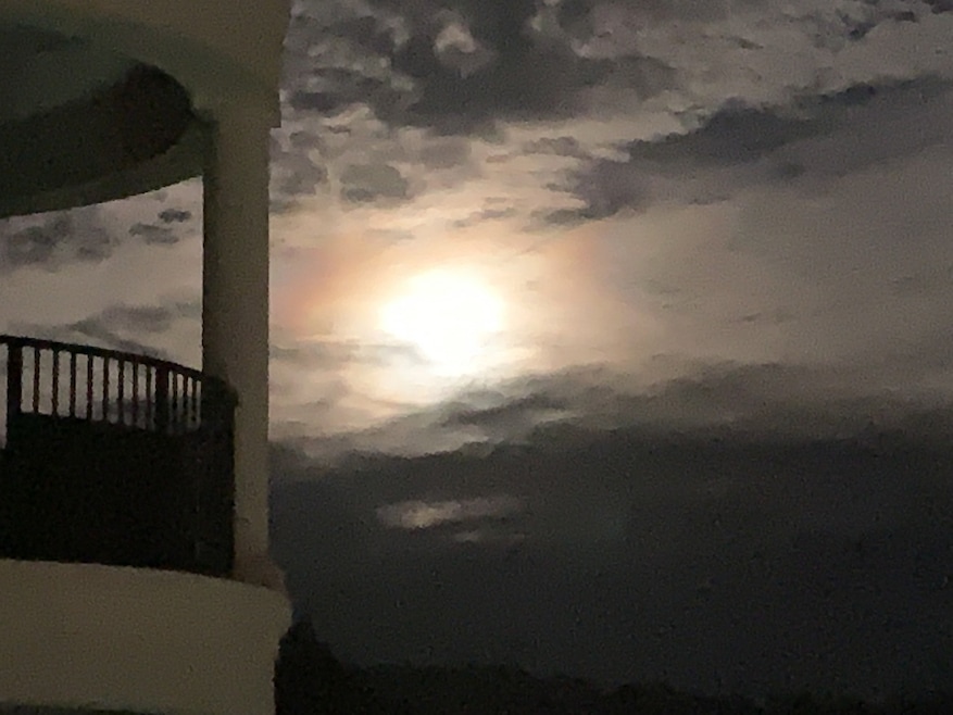 Braxton unit 308, Ashland City, TN 37015 - photo 1