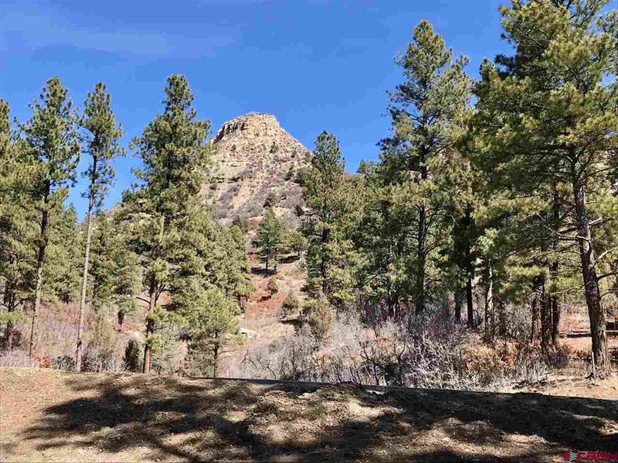 0 Bell Flower Ct unit 768245, Durango, CO 81301 - photo 1