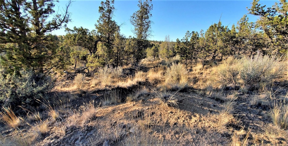 2330 SE Texas Cir, Prineville, OR 97754 - photo 1