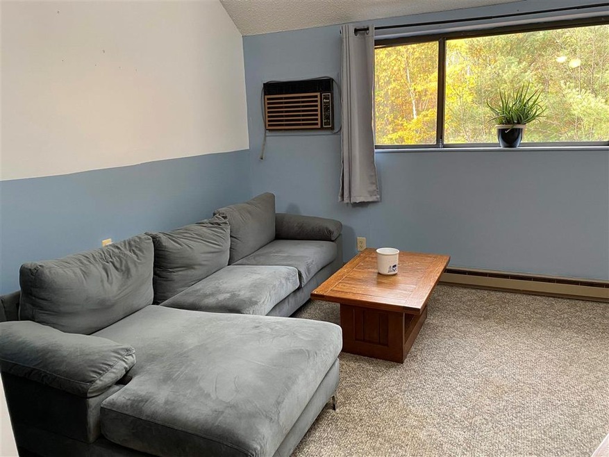 23 Black Bear Way unit 424, Waterville Valley, NH 03215 - photo 1