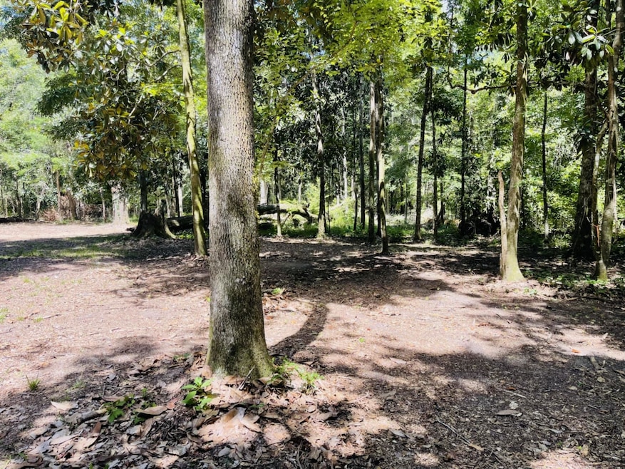 1169 Old Bumpy Rd, Capitola, FL 32317 - photo 1