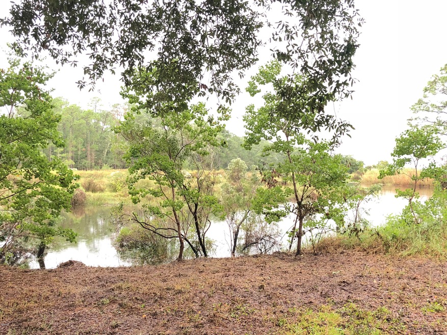 View of Bayou
