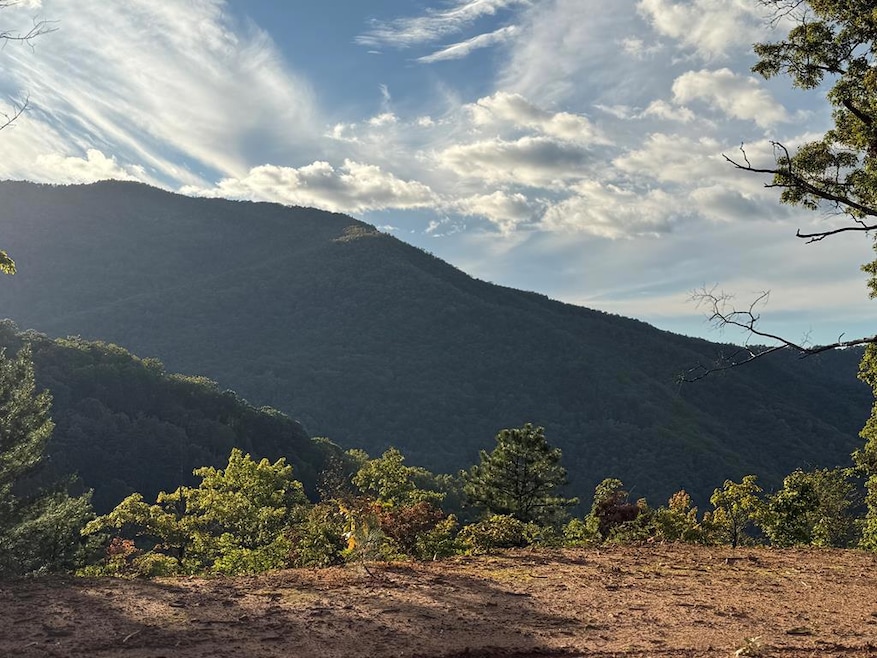 536 Cardinal Bluff Rd, Whittier, NC 28789 - photo 1