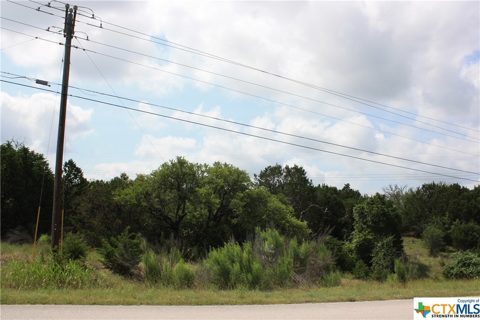 2404 Big Divide Rd, Copperas Cove, TX 76522 - photo 1