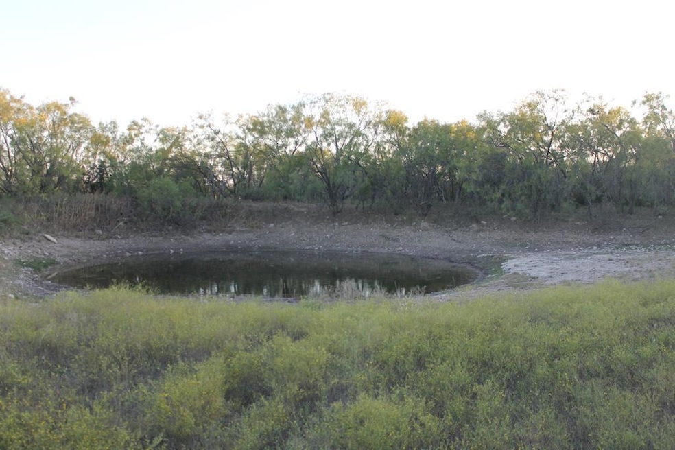 818 195 Cr-163, Winters, TX 78634 - photo 1