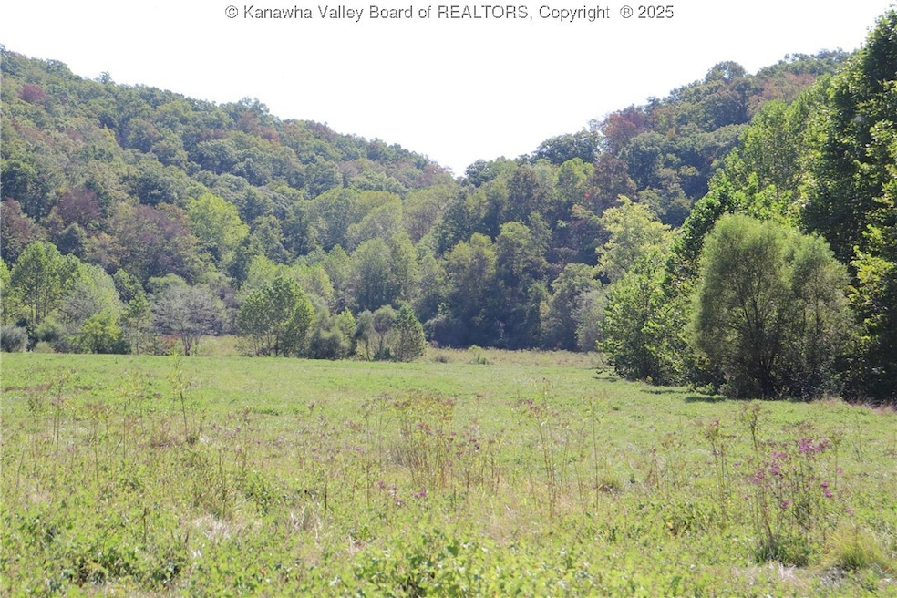 0 16 Mile Rd unit 277782, Apple Grove, WV 25187 - photo 1