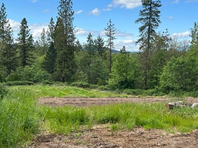 Homestead in Applegate Valley